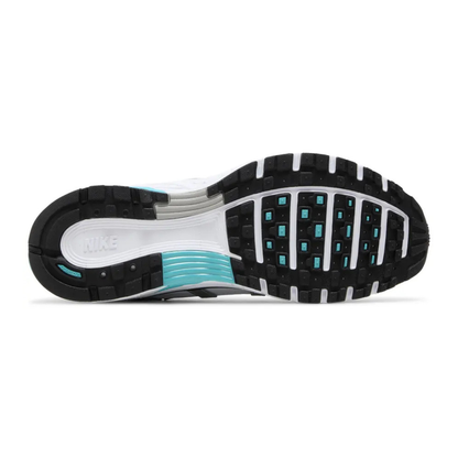NK P-6000 Dusty Cactus